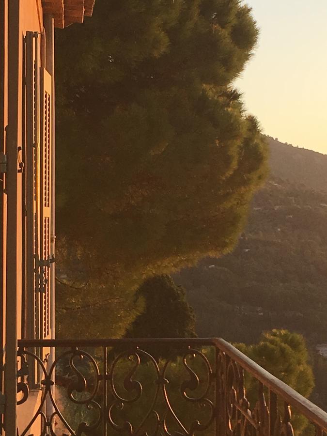 Hotel Particulier Des Jasmins Le Bar-sur-Loup Buitenkant foto